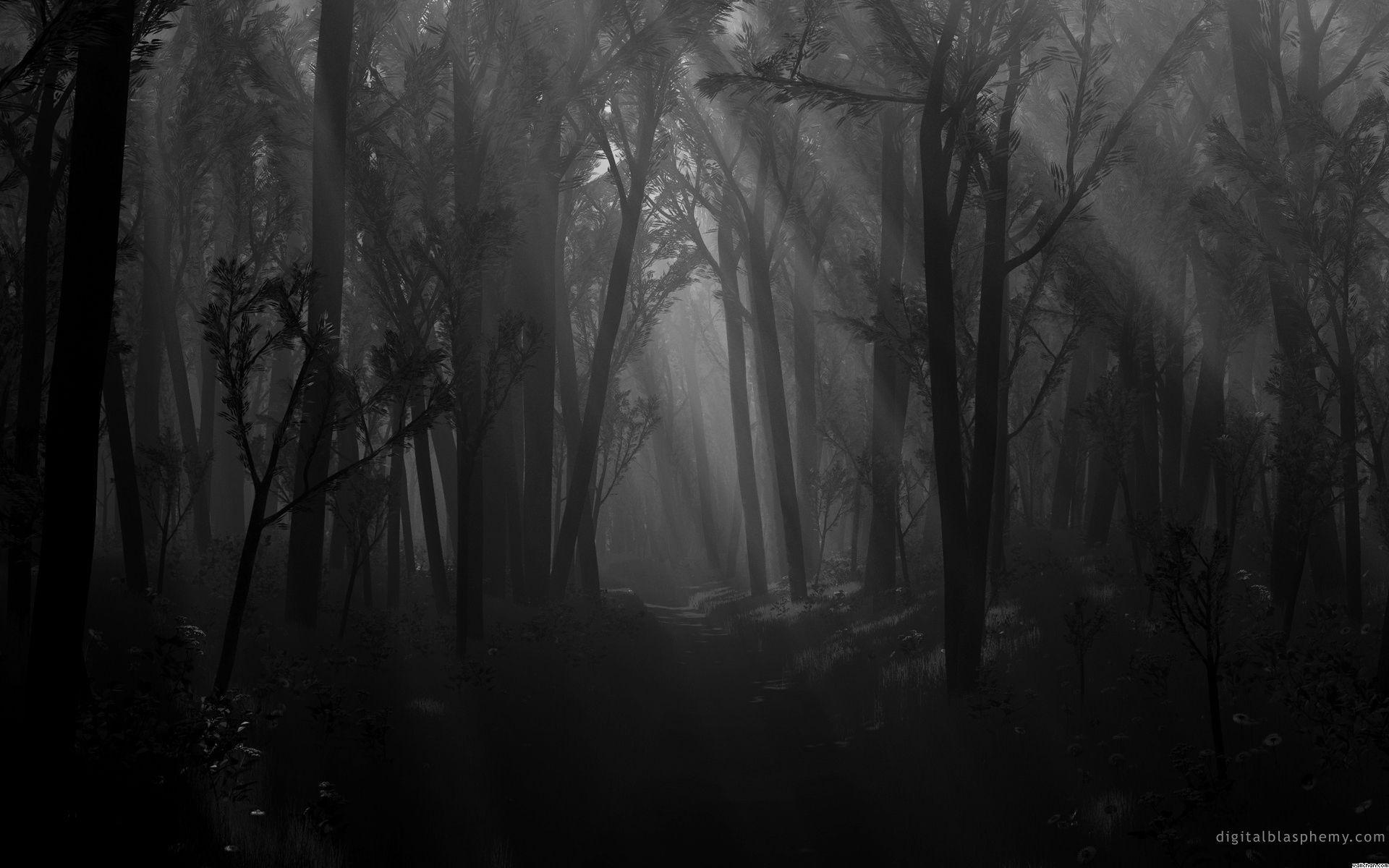 1920x1200 Dark Forest Backgrounds - Jungle Background Drawing