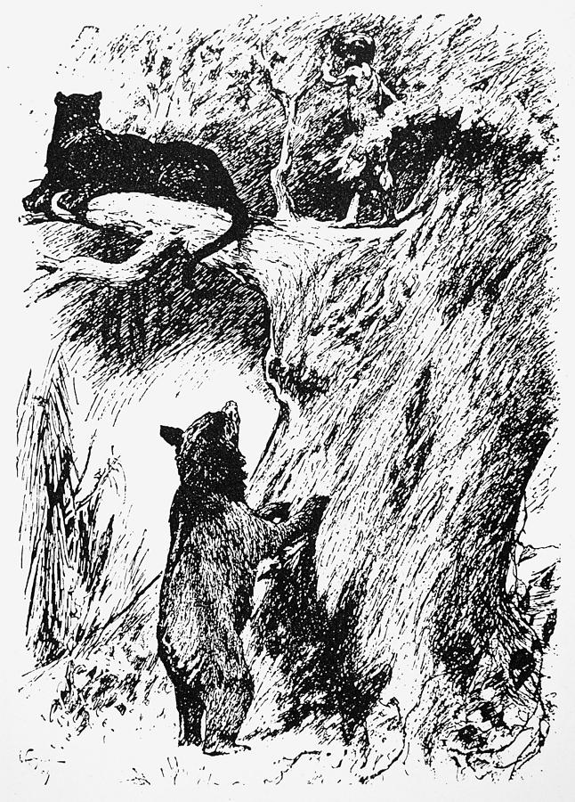 646x900 Kipling The Jungle Book Drawing - Jungle Book Drawing