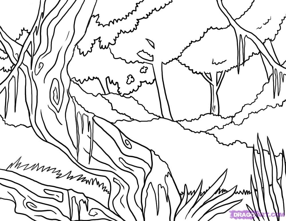 1000x774 How To Draw A Jungle, Step - Jungle Drawing
