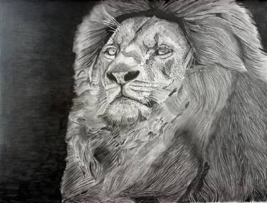 375x286 Lion The King Of Jungle Drawing - Jungle Drawing
