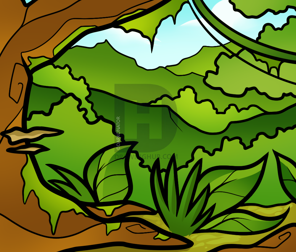 1000x854 How To Draw A Jungle For Kids, Step - Jungle Drawing