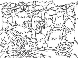 320x240 jungle coloring pictures jungle drawing for kids - Jungle Drawing For Kids