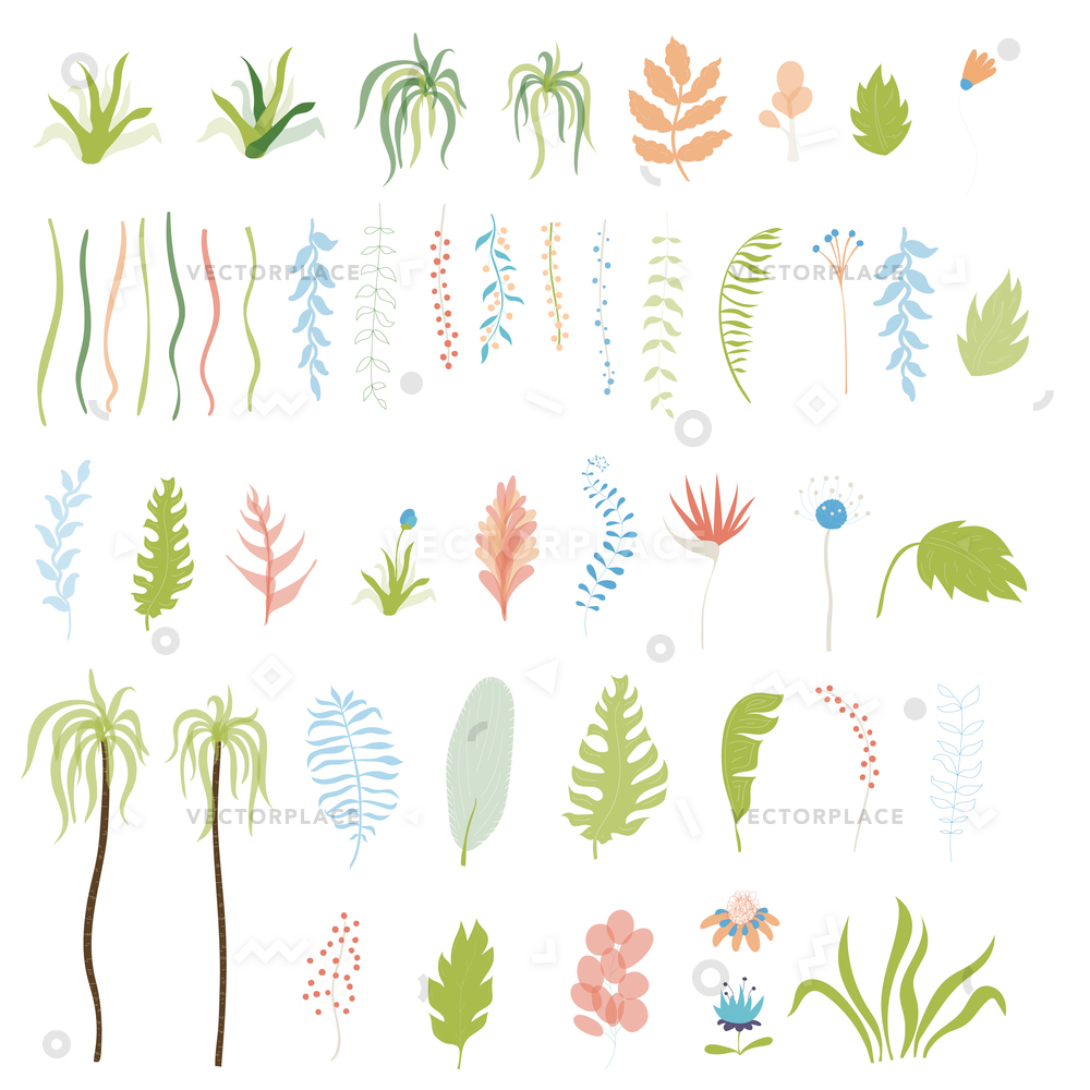 1000x1000 Isolated Tropical Exotic Flowers Leaves Collection Vector - Jungle Leaf Drawing
