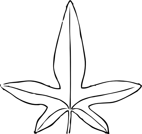 600x567 Jungle Leaves Black And White Download Huge Freebie - Jungle Leaf Drawing