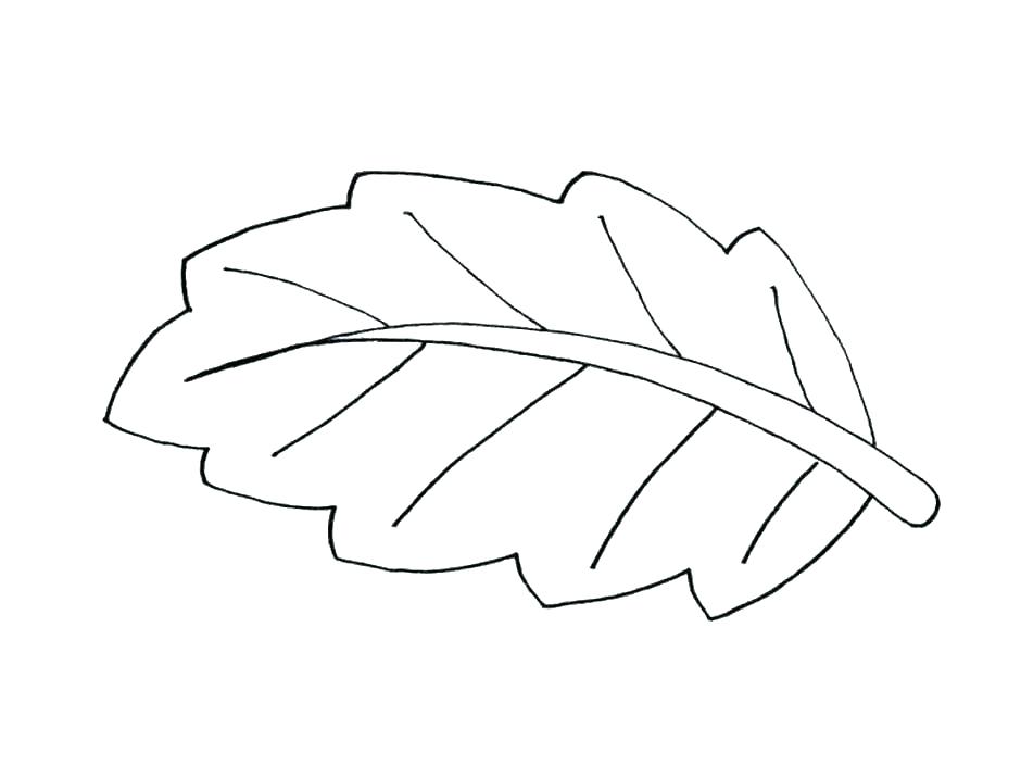 Jungle Leaf Drawing at PaintingValley.com | Explore collection of