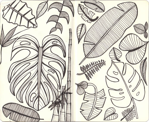 500x409 The Jungle Lovebird Stationery - Jungle Leaf Drawing