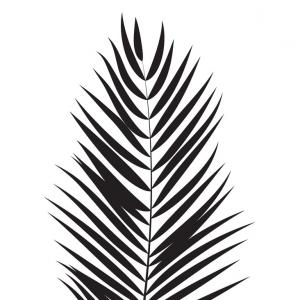 300x300 Tropical Leaves Silhouette Jungle Leaves Set Vector Sohadacouri - Jungle Leaf Drawing