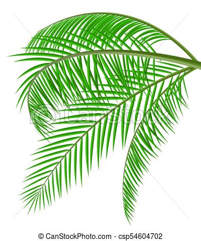 Jungle Leaf Drawing at PaintingValley.com | Explore collection of