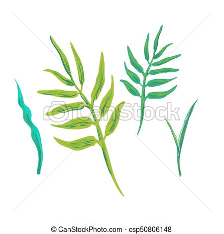 450x470 Vector Tropical Leaves, Jungle Leaves Set Isolated On White - Jungle Leaf Drawing