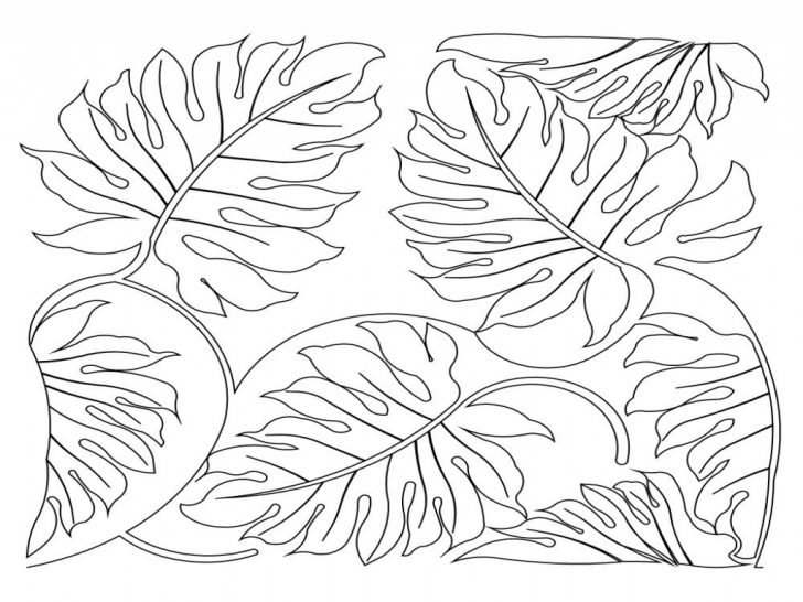 Jungle Leaf Drawing at Explore collection of