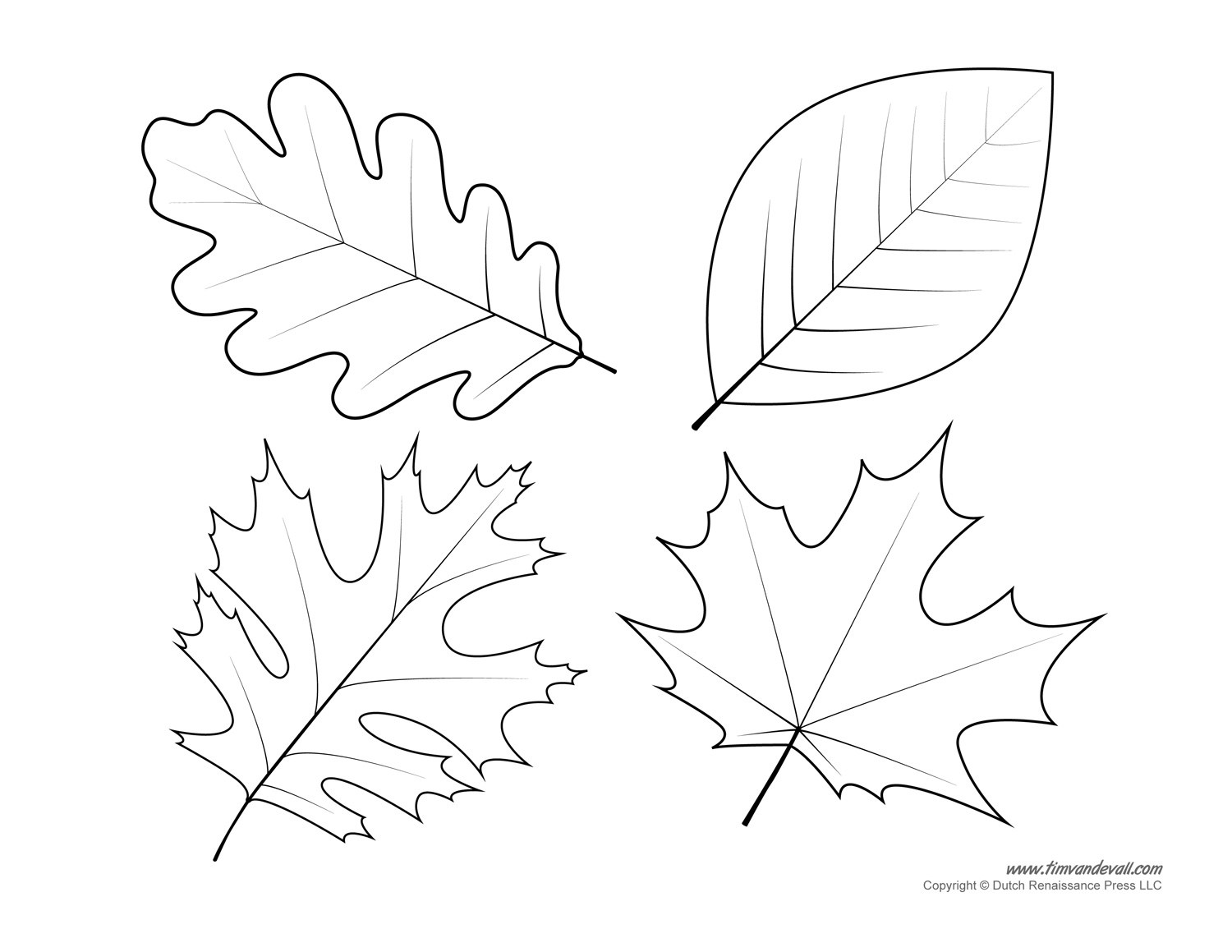 1500x1159 Adult Coloring - Jungle Leaf Drawing