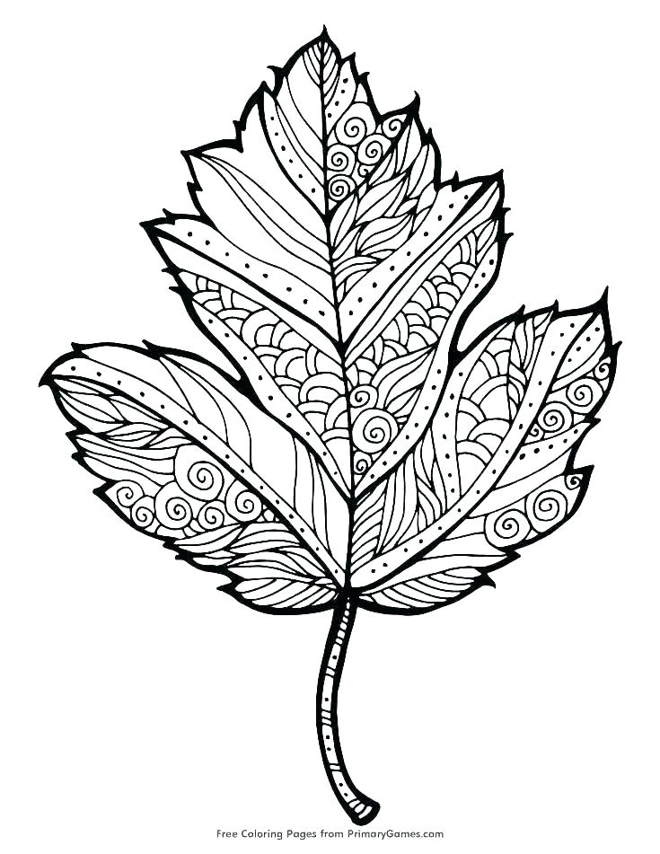 735x951 Coloring Pages For Adults Easy Fall Kids Printable Toddlers Sheets - Jungle Leaf Drawing