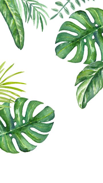 361x640 Dlolleys Help Iphone Jungle Leaves Wallpapers Backgrounds - Jungle Leaf Drawing