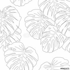 236x236 Huge Collection Of 'leaves Line Drawing' Download More Than - Jungle Leaves Drawing