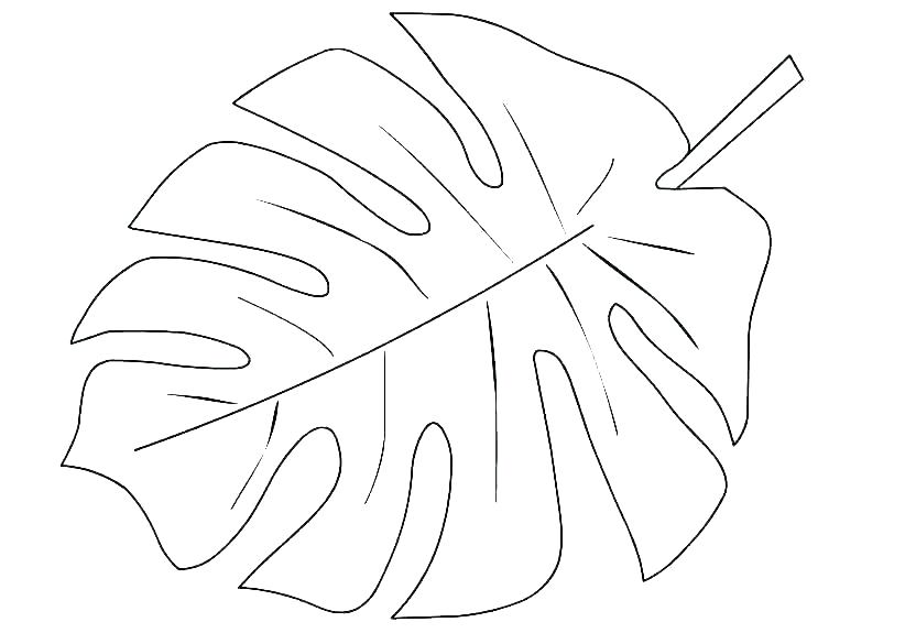 822x575 Jungle Leaves Coloring Pages Leaves Coloring Pages Plants Coloring ...