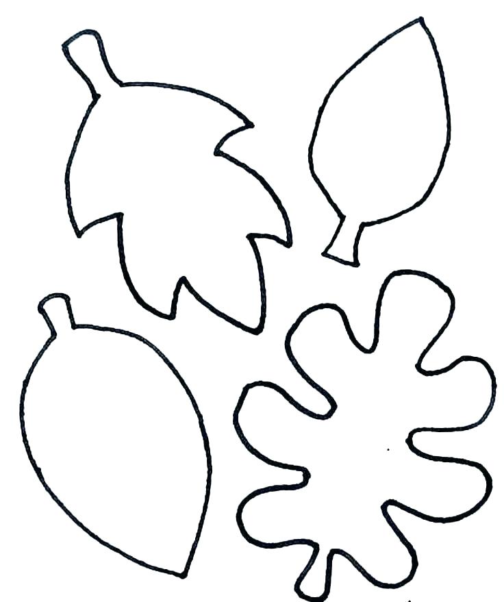 Jungle Leaves Drawing At PaintingValley Explore Collection Of