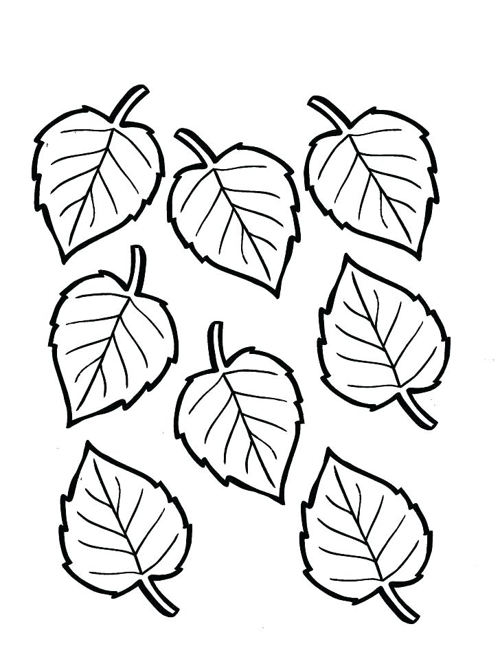 728x969 Rainforest Leaves Coloring Pages Best Plants Coloring - Jungle Leaves Drawing