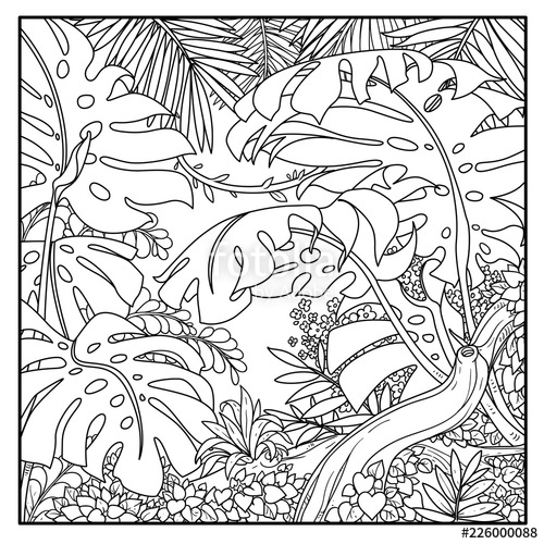 Jungle Leaves Drawing at PaintingValley.com | Explore collection of ...