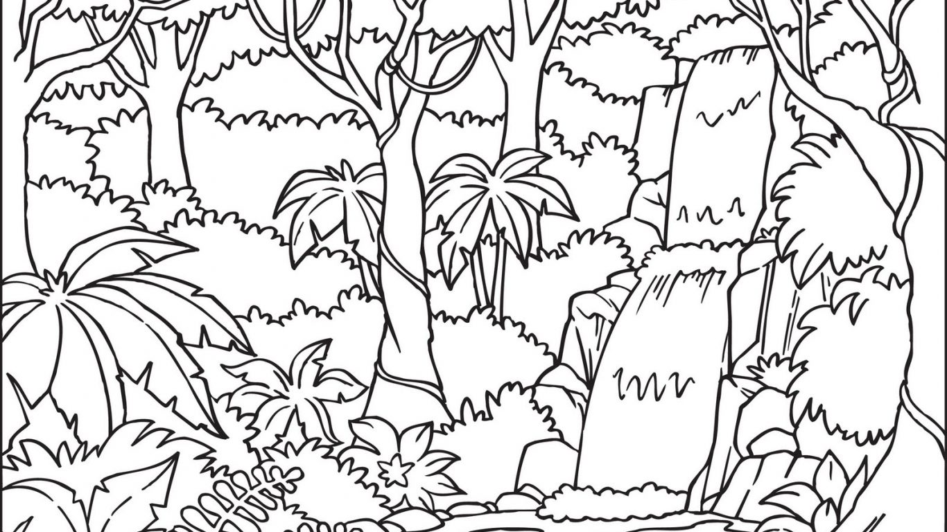 1366x768 Willpower Tropical Rainforest Coloring - Jungle Leaves Drawing