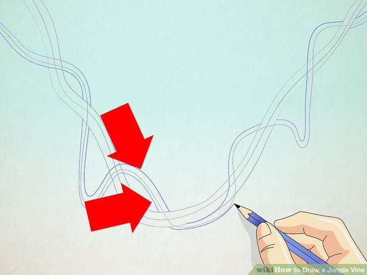 728x546 How To Draw A Jungle Vine Steps - Jungle Leaves Drawing
