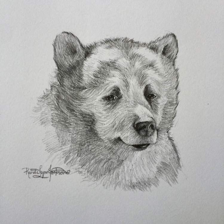750x750 bill murray's baloo from the jungle book a pencil sketch - Jungle Pencil Drawing