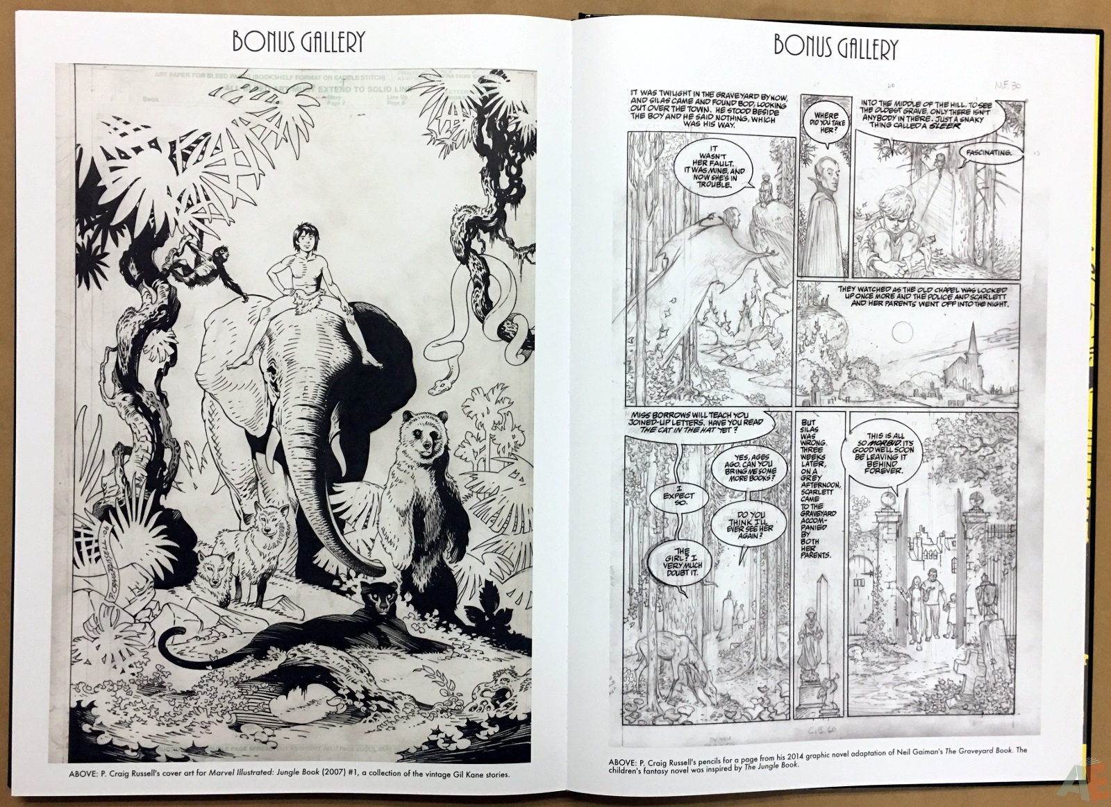 1600x1163 Pencil Drawings Of Jungle Book - Jungle Pencil Drawing