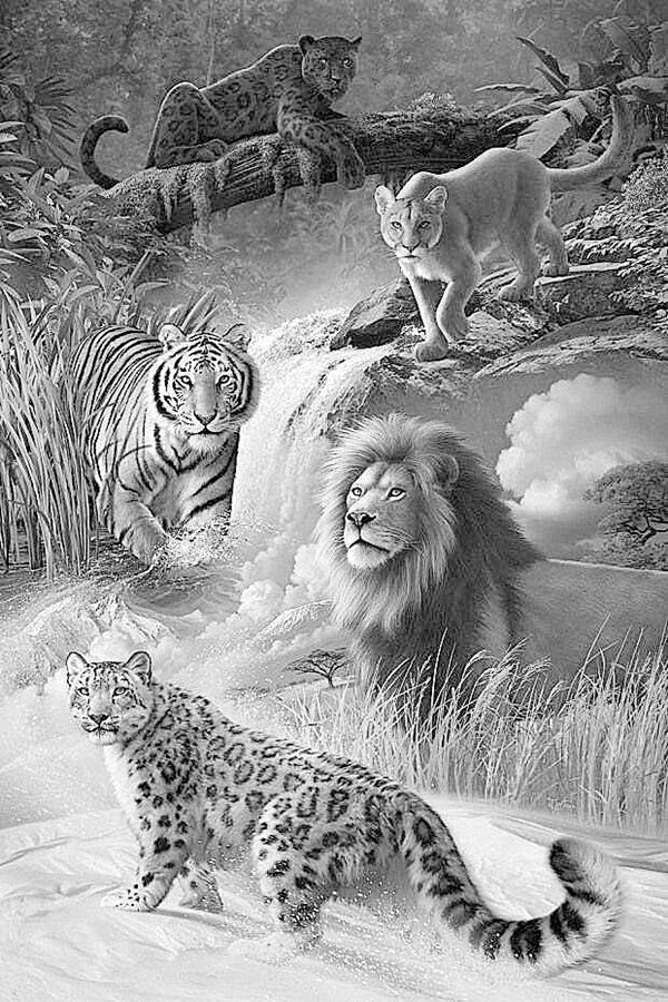 600x900 Jungle Drawing Realistic For Free Download - Jungle Pencil Drawing