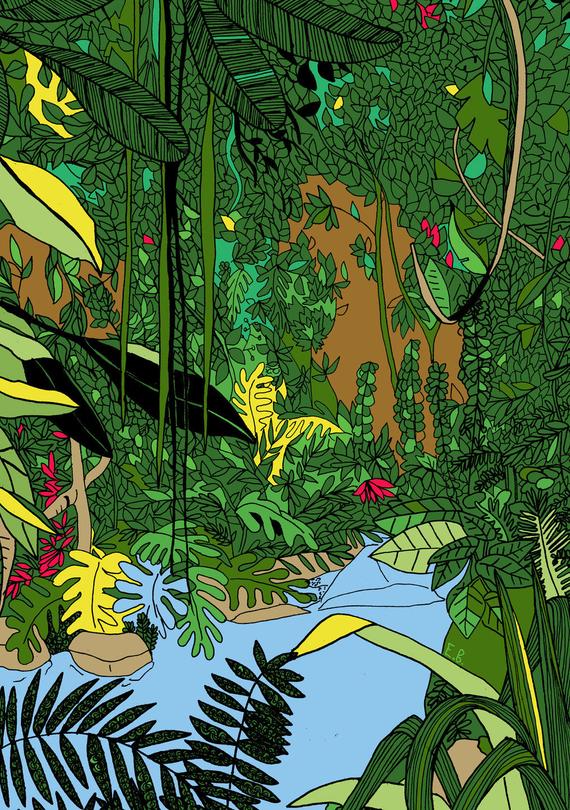 570x810 Illustration Digital Poster To Download Tropical Etsy - Jungle Plants Drawing