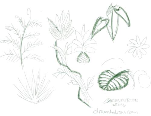 500x386 Jungle Plants Drawn To Draw - Jungle Plants Drawing