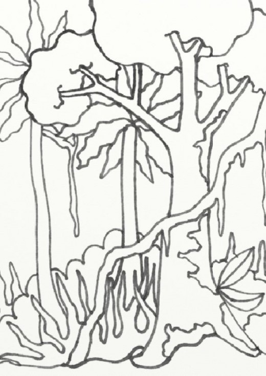 520x735 Jungle Plants Drawing Beautiful Of Rainforest Leaves Coloring - Jungle Plants Drawing