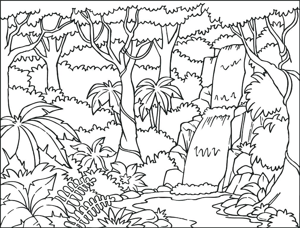 1009x768 Rainforest Plants Coloring Pages Drawn Jungle Plants Coloring - Jungle Plants Drawing