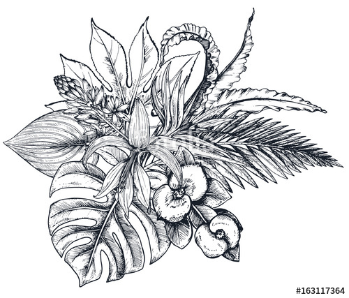500x427 Vector Composition Of Hand Drawn Tropical Flowers, Palm Leaves - Jungle Plants Drawing