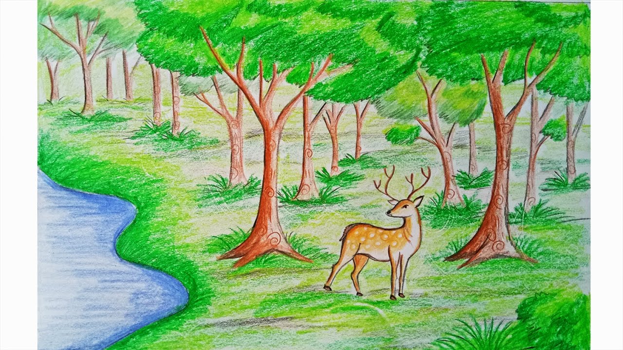 1280x720 How To Draw Forest Scene Step - Jungle Scene Drawing