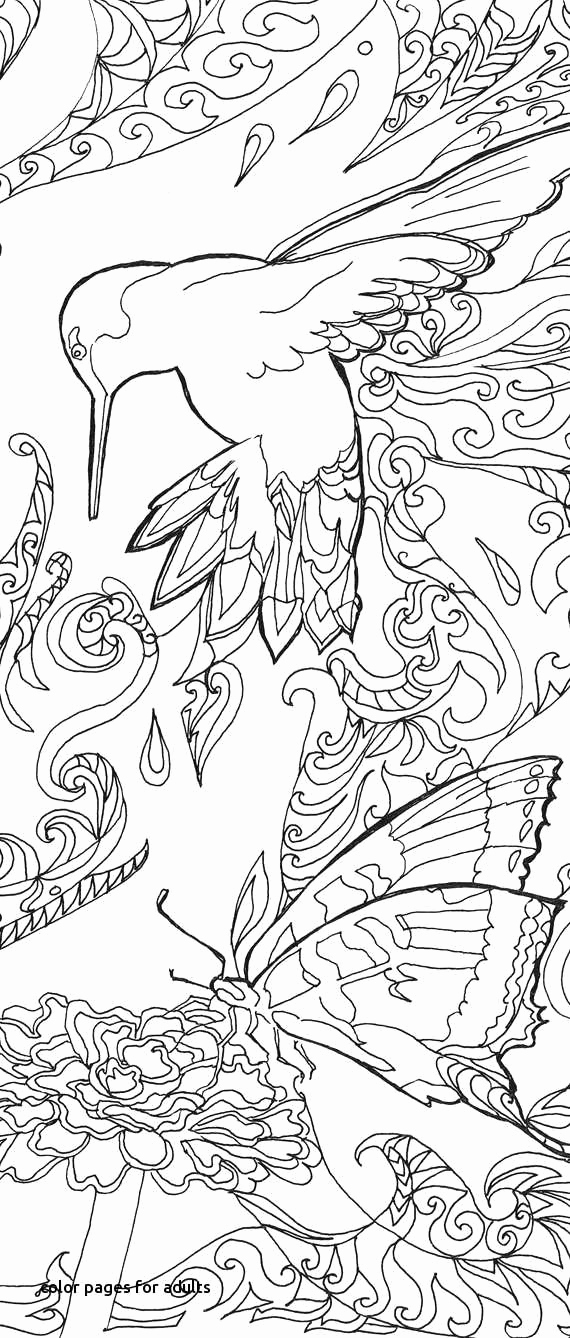 570x1338 Jungle Scene Coloring - Jungle Scene Drawing