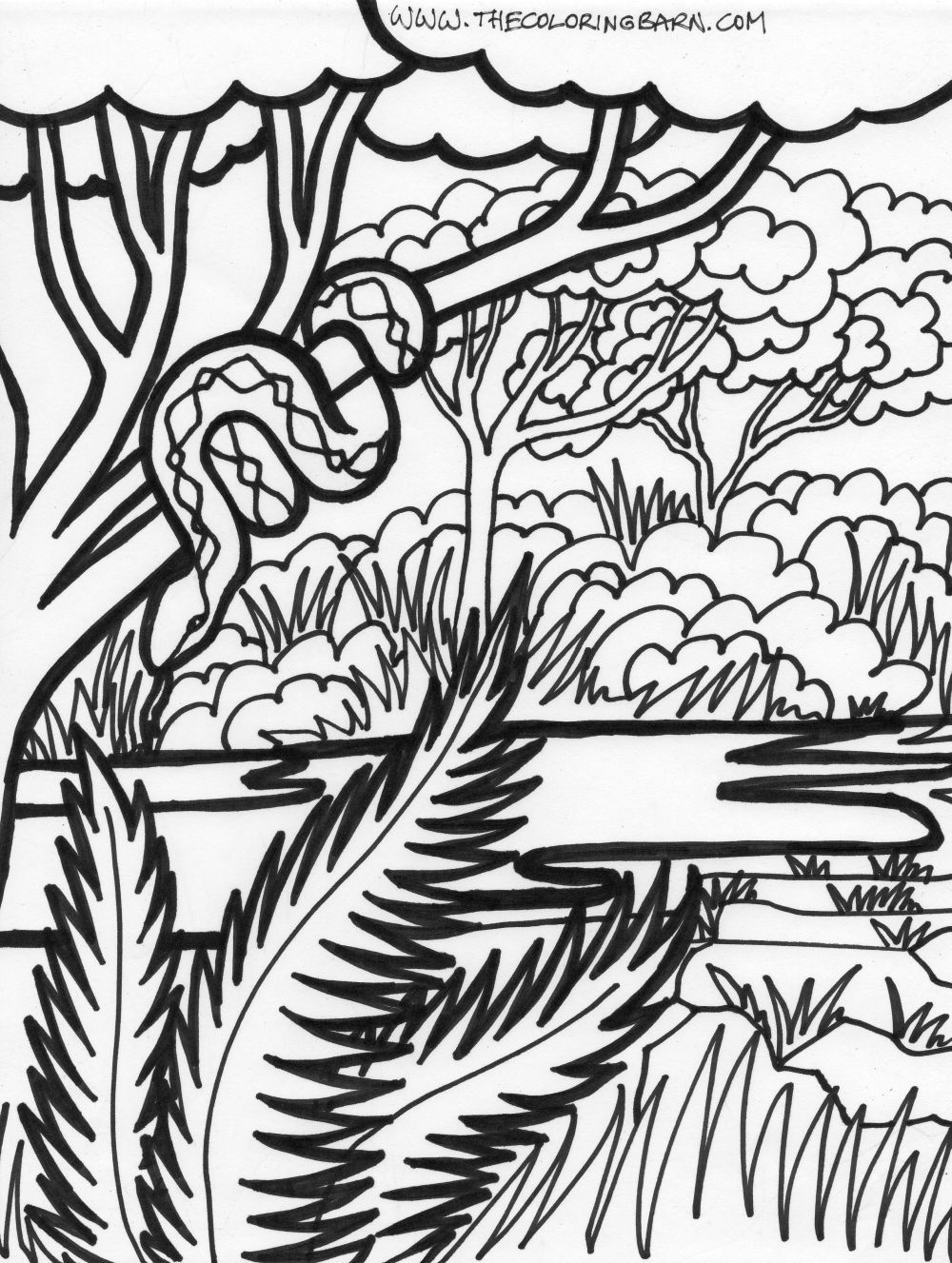 1000x1327 Jungle Scene Drawing At Com Free For Personal Us On Coloring Pages - Jungle Scene Drawing