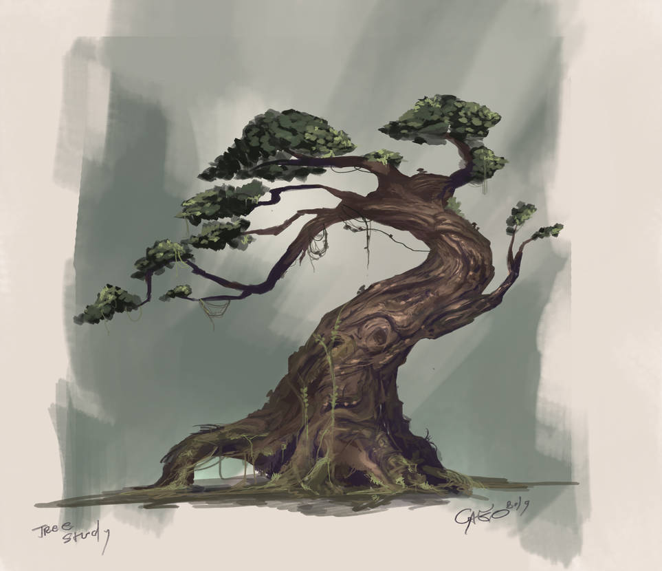 963x830 Jungle Tree Study - Jungle Tree Drawing
