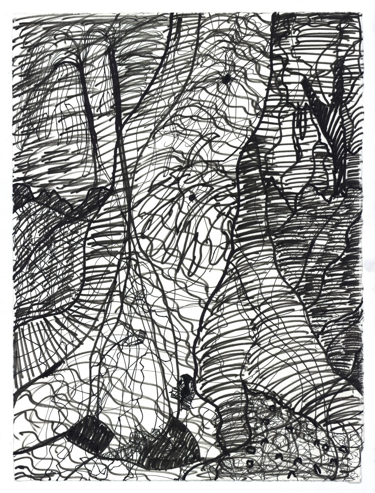 1280x1684 Jungle Tree Intoart - Jungle Tree Drawing