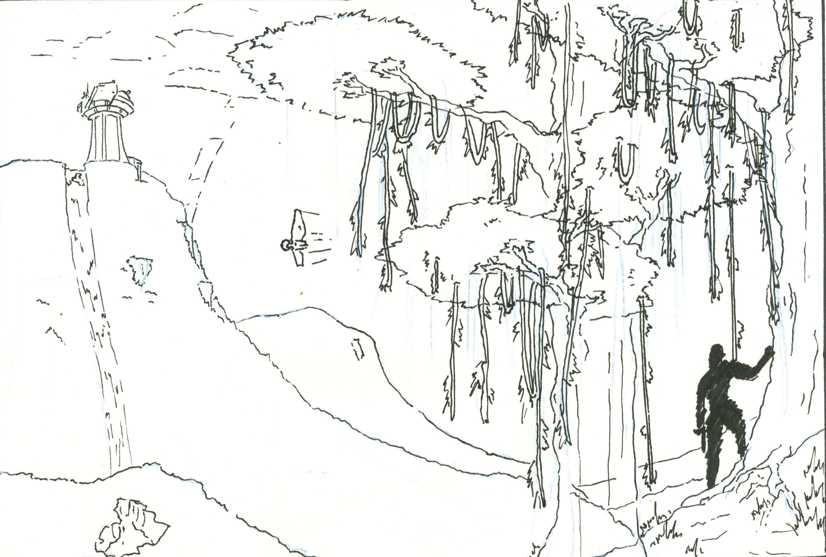 Jungle Tree Drawing at Explore collection of