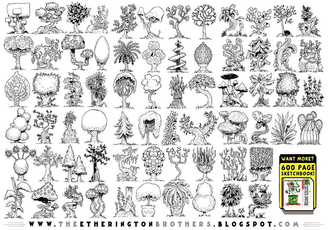 1066x749 Tropical Rainforest Drawing At Getdrawings Com Free For Personal - Jungle Tree Drawing