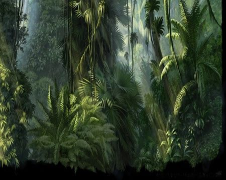 450x360 fantasy jungle jungle - Jungle Tree Drawing