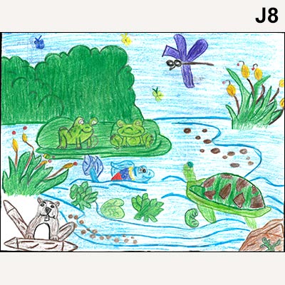 400x400 Drawing Contest - Junior Drawing