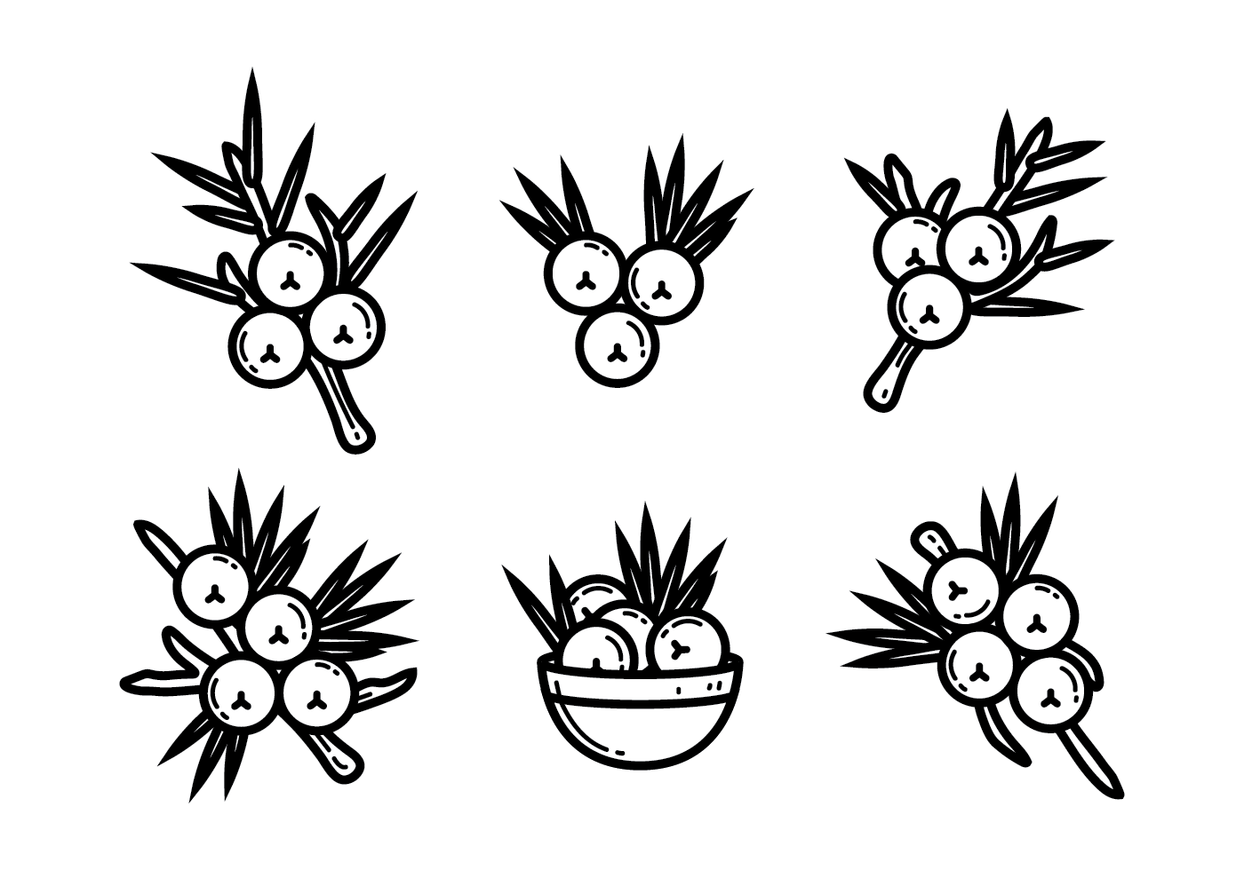 1400x980 Juniper Free Vector Art - Juniper Drawing