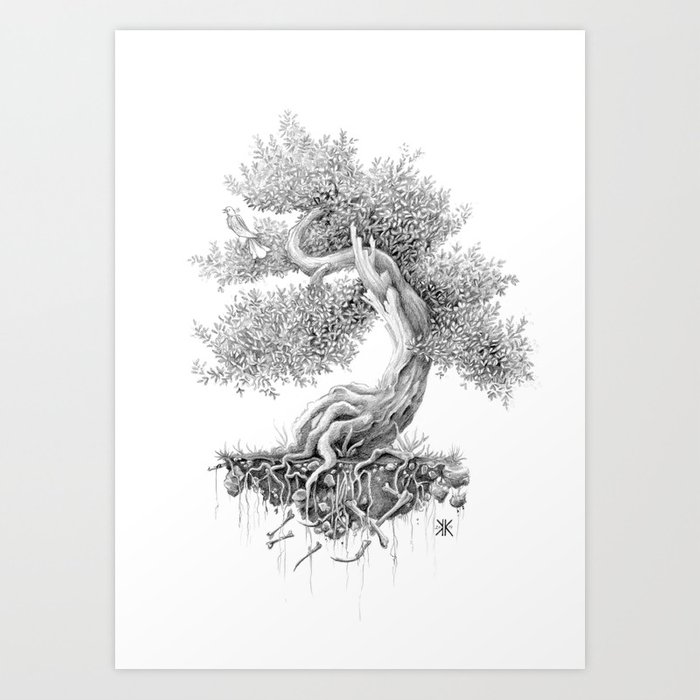700x700 Juniper Tree And The Nightingale Art Print - Juniper Tree Drawing