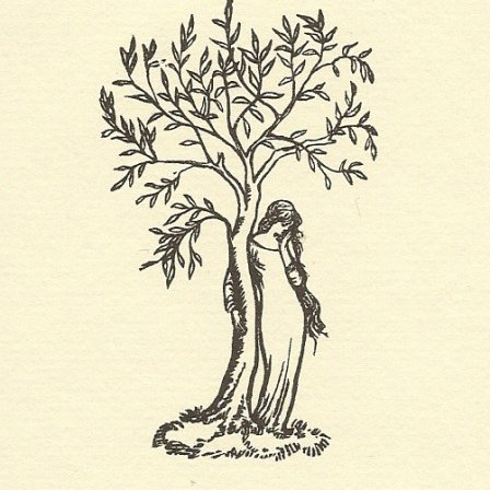 448x448 The Juniper Tree - Juniper Tree Drawing