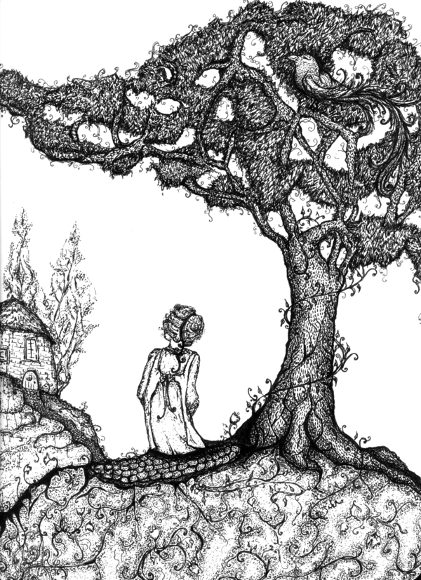 600x827 The Juniper Tree - Juniper Tree Drawing