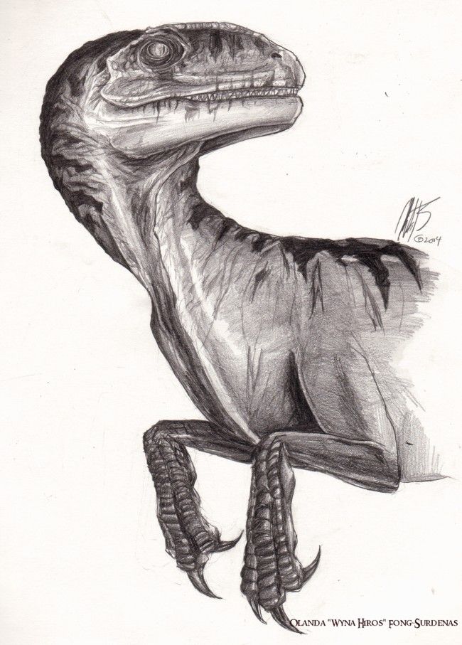 650x907 jurassic park - Jurassic Park Drawing