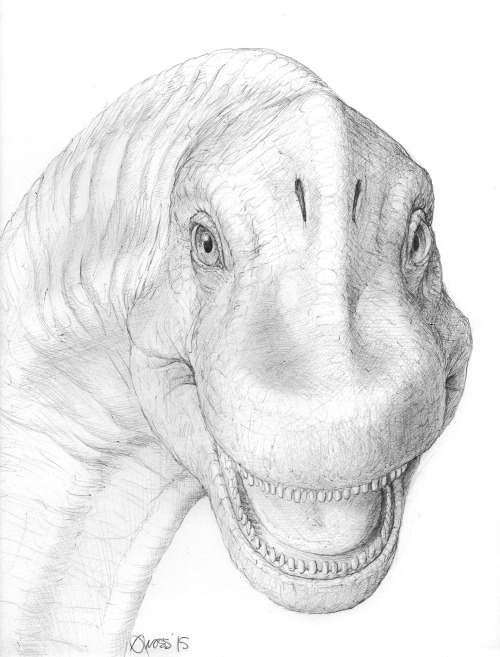 500x657 drawing illustration art mine dinosaur sketch pen dino jurassic - Jurassic Park Drawing