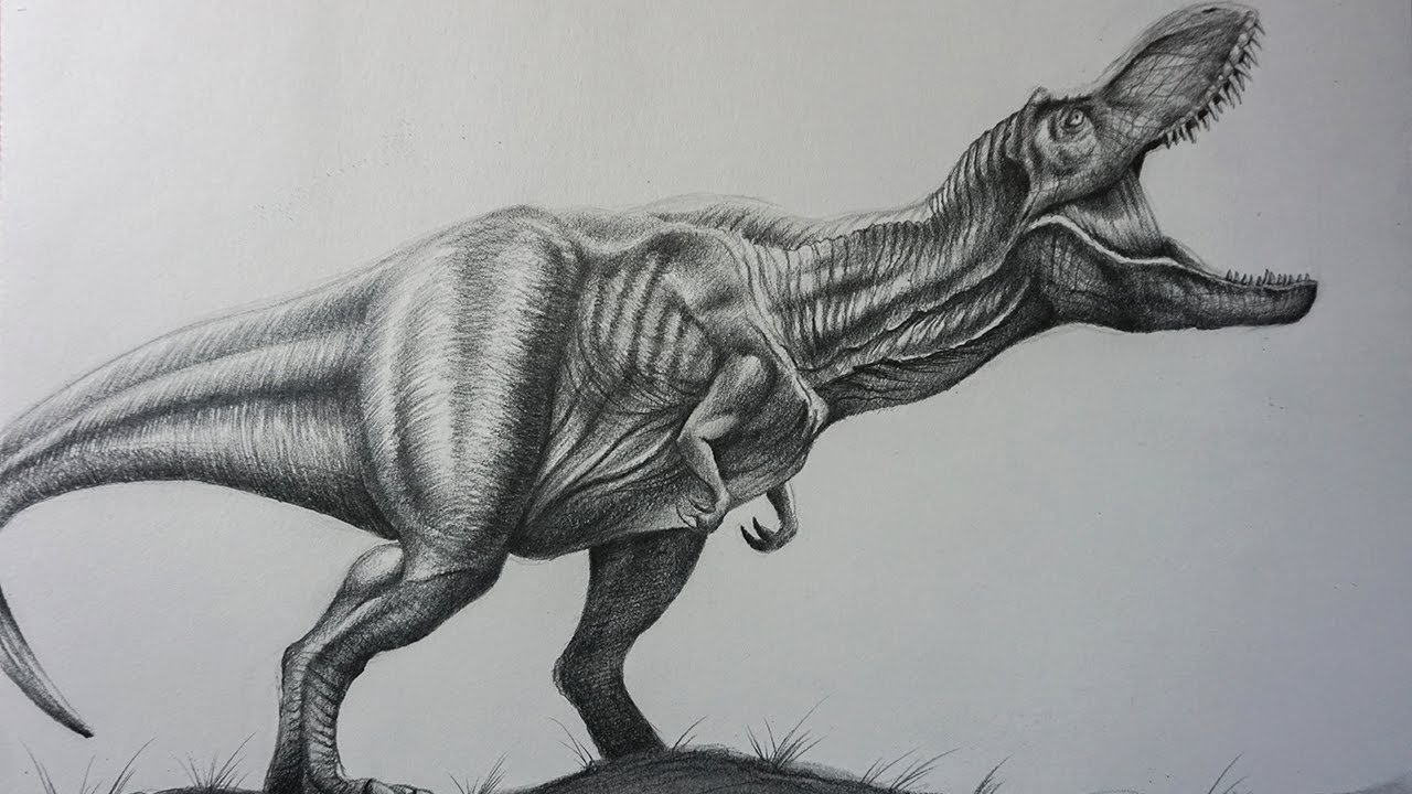 bull t rex drawing