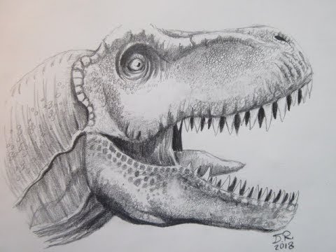 480x360 How To Draw A Jurassic World Tyrannosaurus Rex - Jurassic Park T Rex Drawing