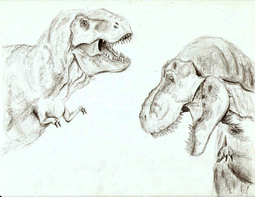 1017x786 Jurassic Park Tyrannosaurus Rex - Jurassic Park T Rex Drawing